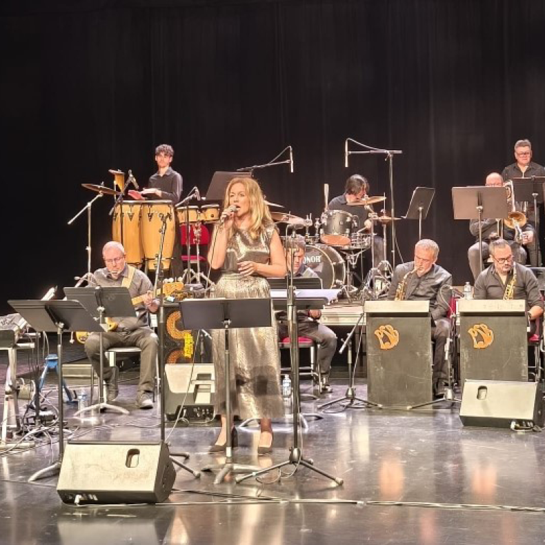 Plaisant&rsquo; Swing Band